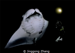 Night dancer by Jinggong Zhang 